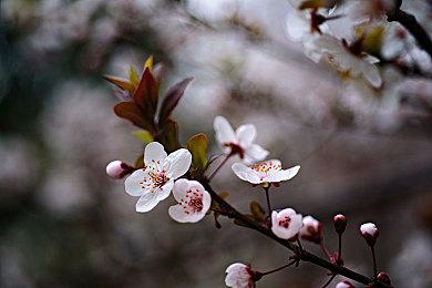 2D平台动作游戏《日焱之子》科隆展首发预告 明年发售